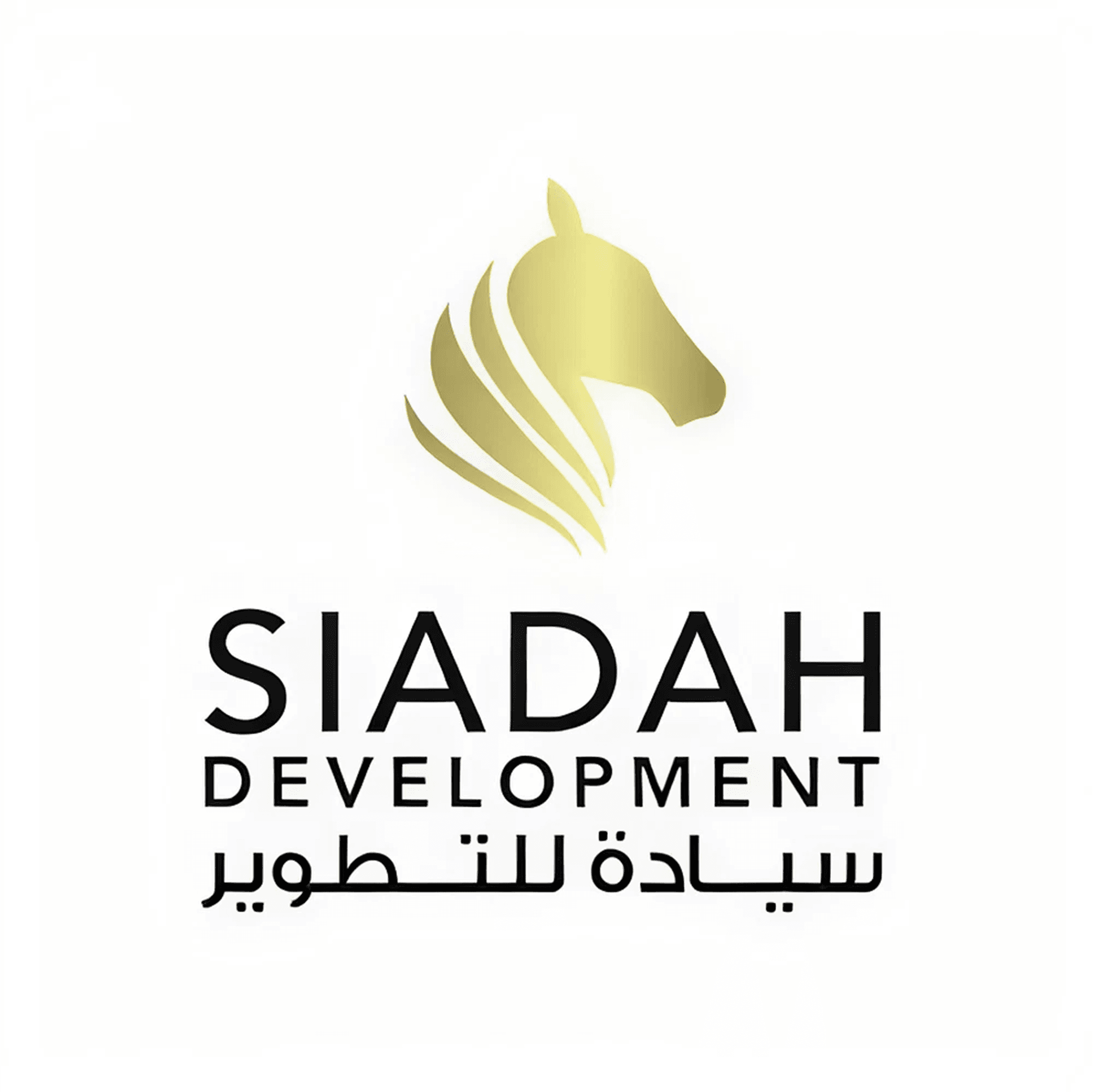SIADAH INTERNATIONAL REAL ESTATE DEVELOPMENT L.L.C.
